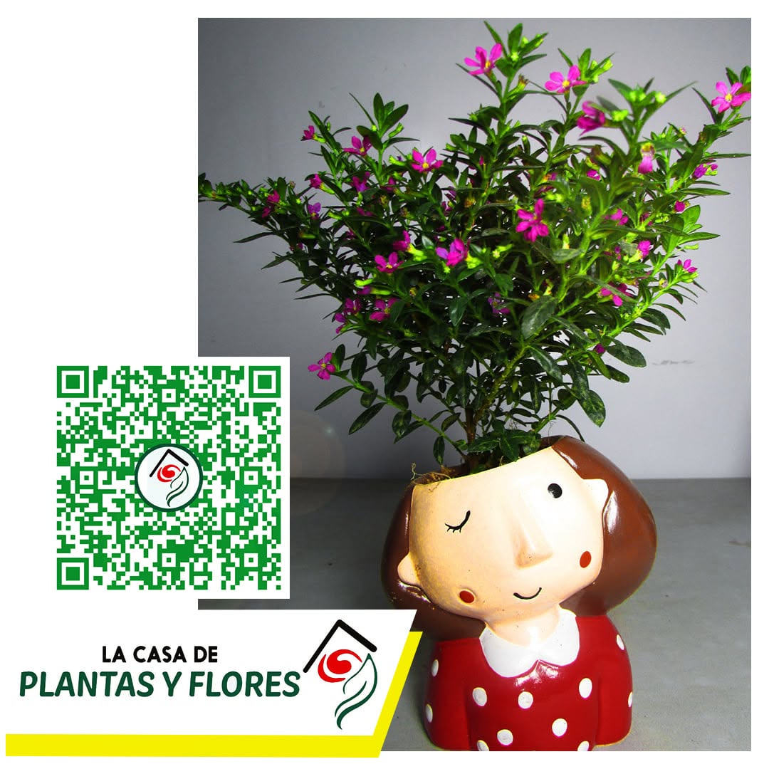Diseño de producto